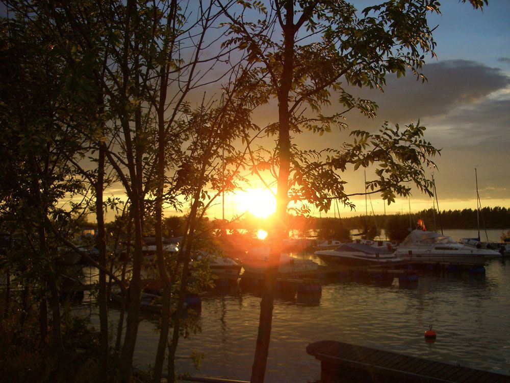Sonnenuntergang über einem Hafen mit Booten und Bäumen im Vordergrund.
