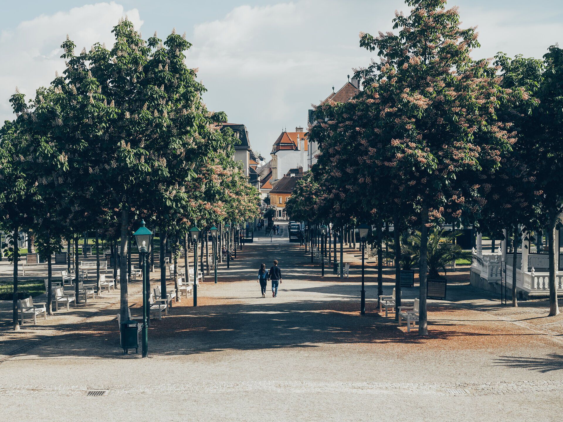 Ein malerischer Spaziergang durch den Kurpark lädt dazu ein, die frische Luft und die Schönheit der Natur zu genießen. Die blühenden Kastanienbäume spenden Schatten und schaffen eine romantische Atmosphäre für Paare, die Hand in Hand entlang der Wege schlendern.