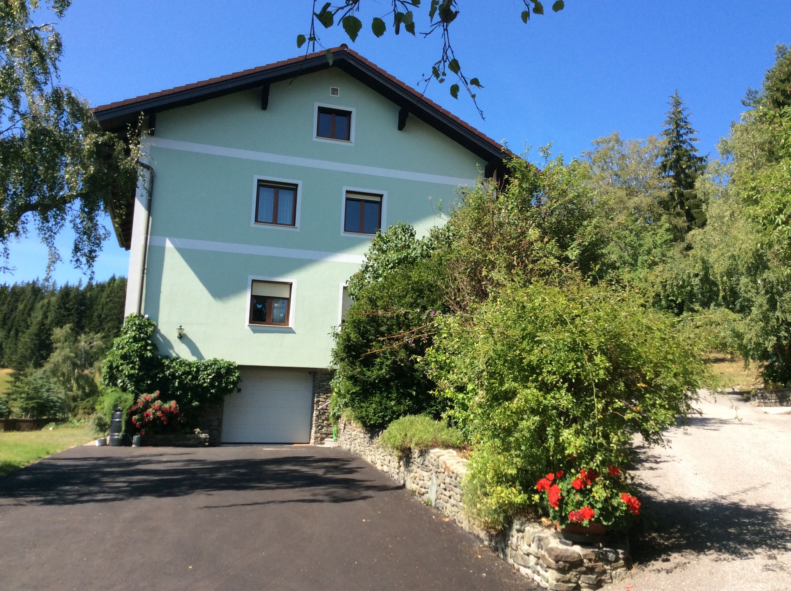 Grünes Haus mit Garten und Einfahrt, umgeben von Bäumen.
