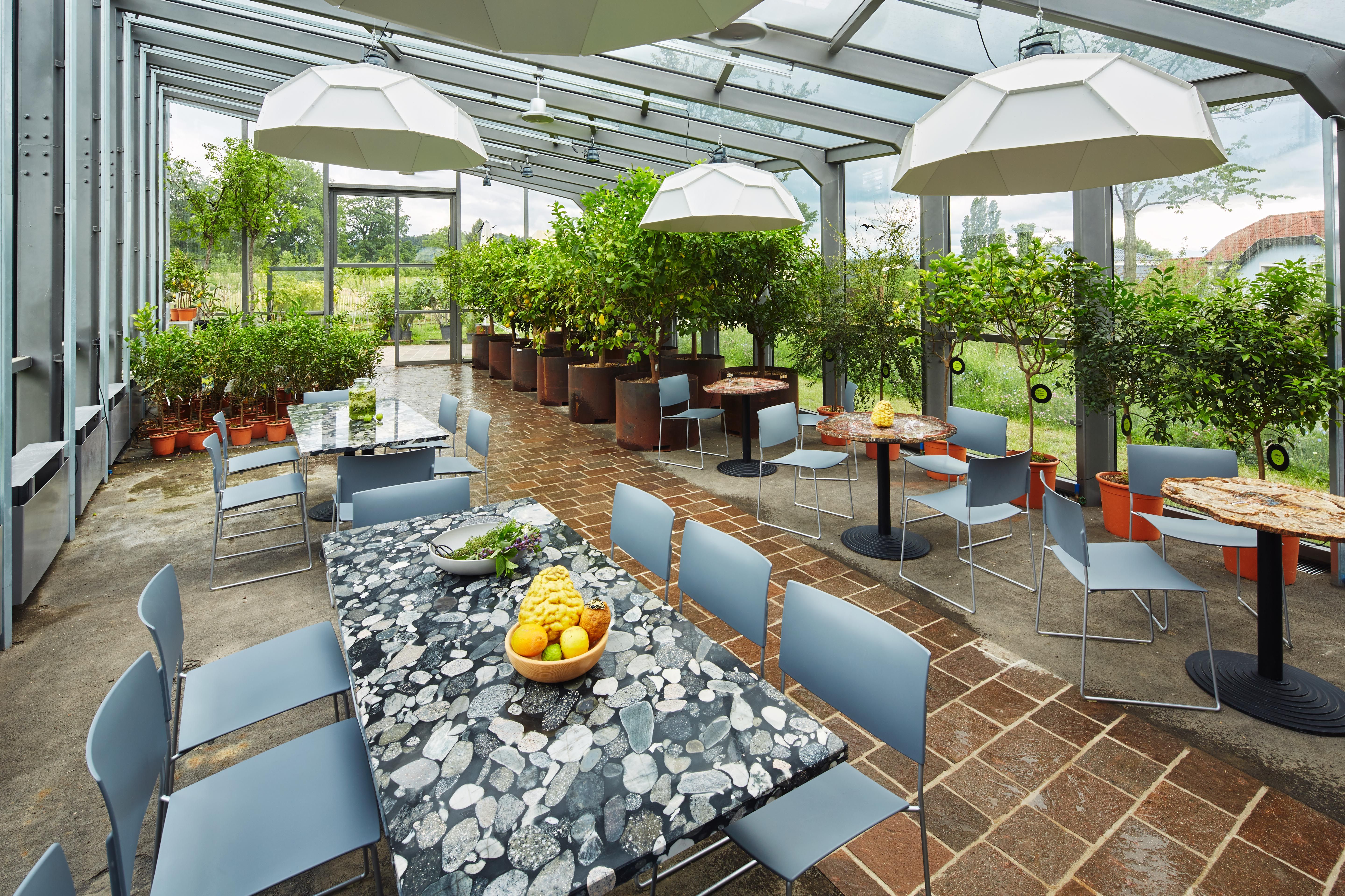 Innenansicht einer Orangerie mit Tischen, Stühlen und Pflanzen.