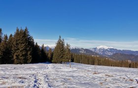 Winterwanderung auf den Arabichl, © Wiener Alpen in Niederösterreich