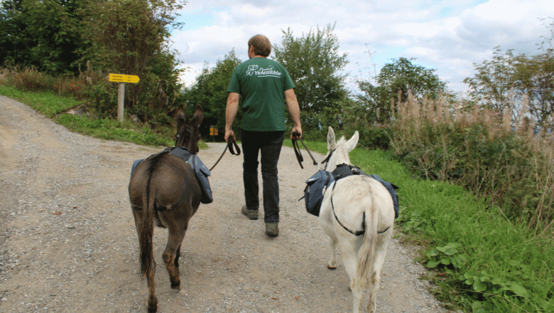 Gasthaus & Ponyhof Holzm&uuml;hle, &copy; Birgit Taxb&ouml;ck