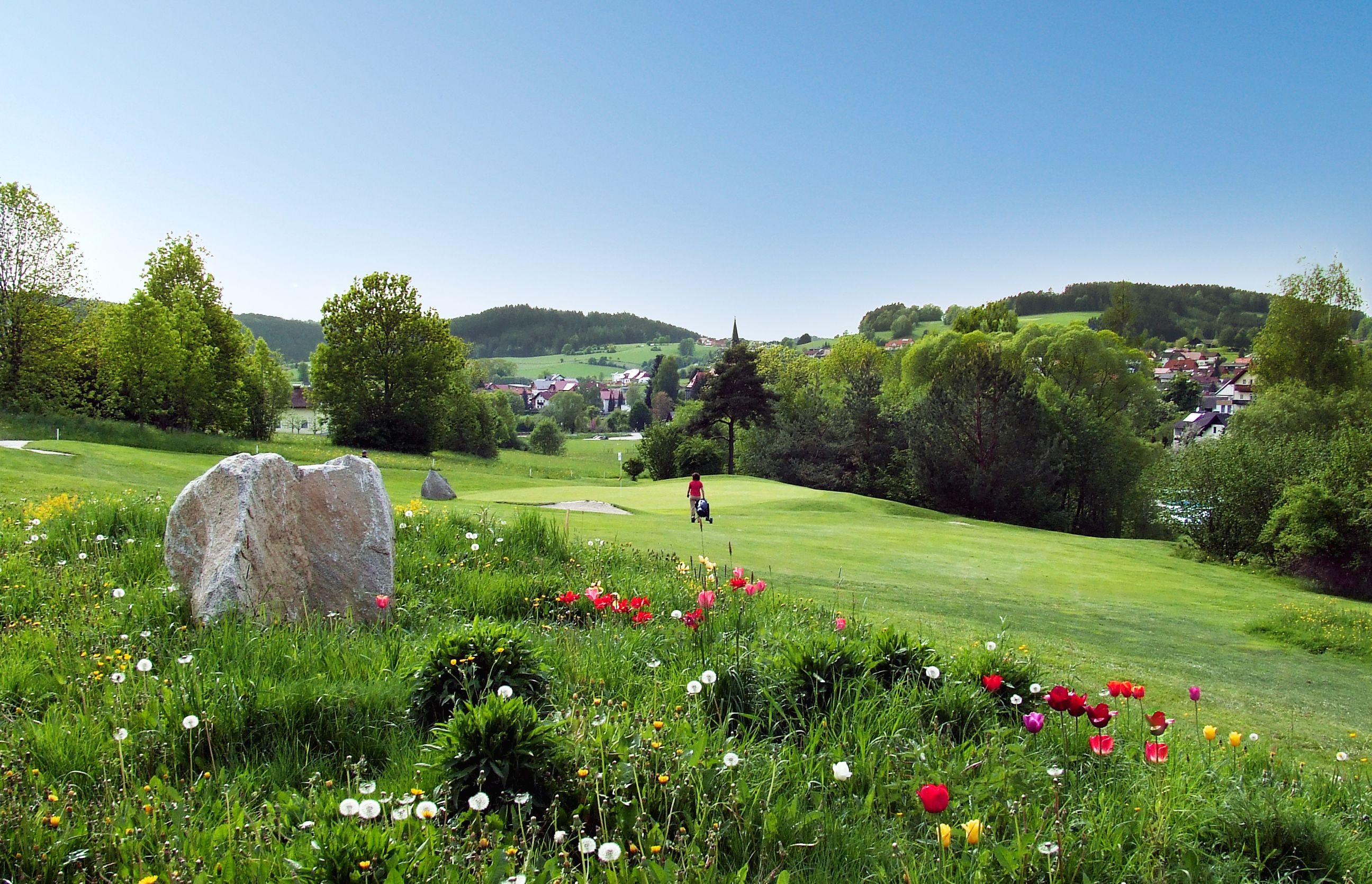 Landschaft mit Blumenwiese, Bäumen und einem Dorf im Hintergrund.