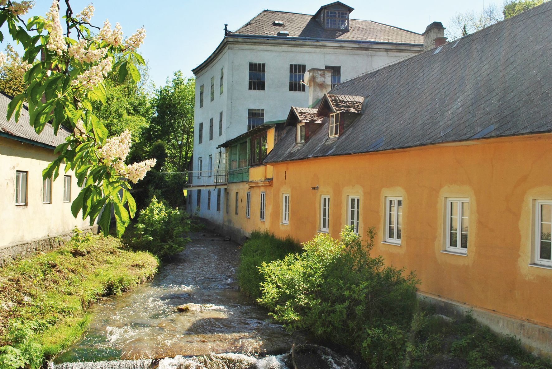 Historische Gebäude an einem Bach mit blühenden Bäumen im Vordergrund.