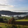 Landschaft im s&uuml;dlichen Waldviertel mit H&uuml;geln, B&auml;umen und Nebel.