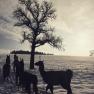 Winter im Lamawanderland, &copy; lamawanderland