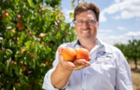 Marillenhof Hackl, &copy; Netzwerk Kulinarik/pov.at