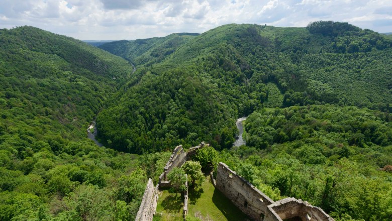 Blick auf eine gr&uuml;ne, bewaldete Landschaft mit Fluss und Burgruine im Vordergrund.
