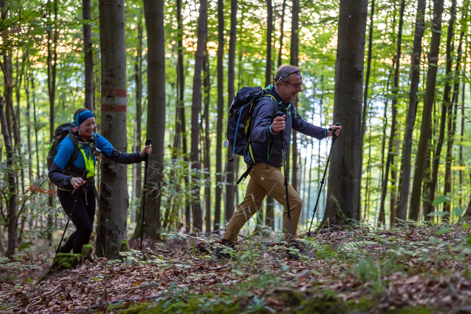 Wachau Trail