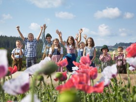 Mohndorf Armschlag, &copy; &copy; Mohnwirt Neuwiesinger