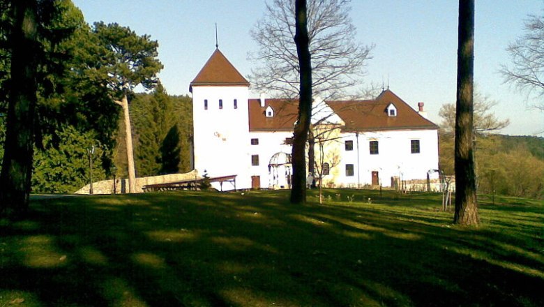 Schloss V&ouml;stenhof in einer gr&uuml;nen Landschaft mit B&auml;umen im Vordergrund.