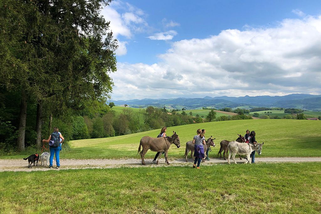 Eselwandern am Esperanzahof