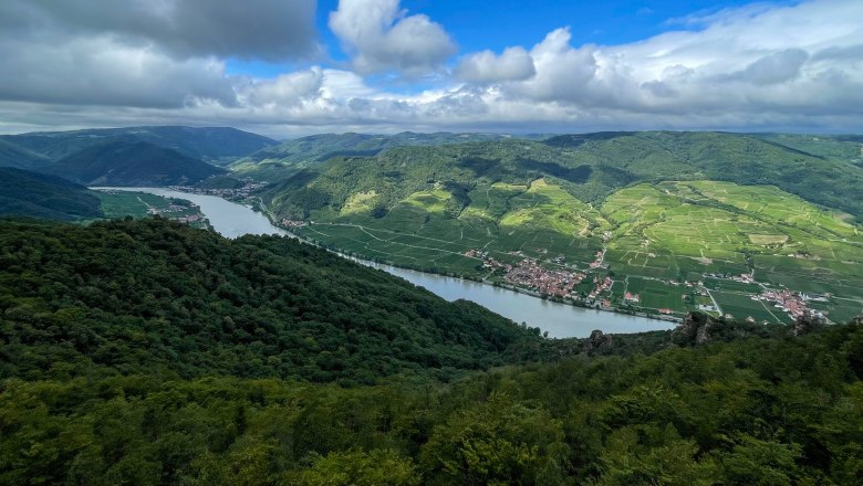 Ausblick auf die Donau mit Blick auf die Orte Wösendorf und Spitz an der Donau