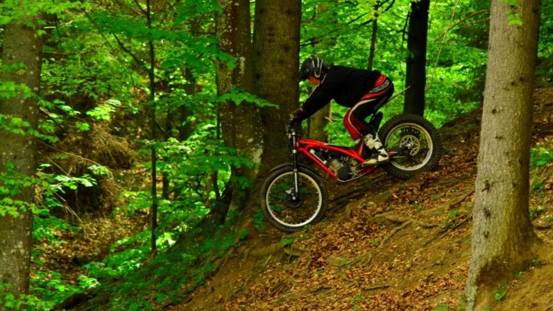 Schaureith Chef Peter, &copy; Familie En&ouml;ckl