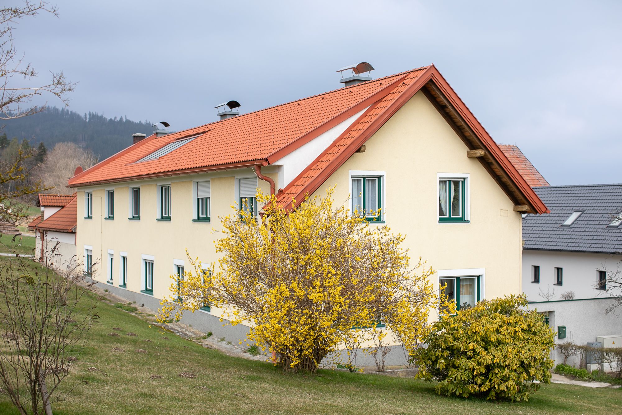 Gelbes Haus mit rotem Dach und blühendem Strauch im Vordergrund.