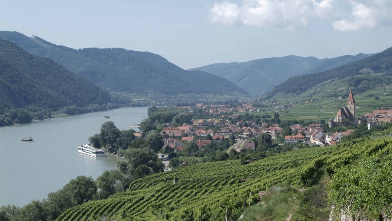 Blick auf Weißenkirchen in der Wachau mit Donau und Weinbergen.