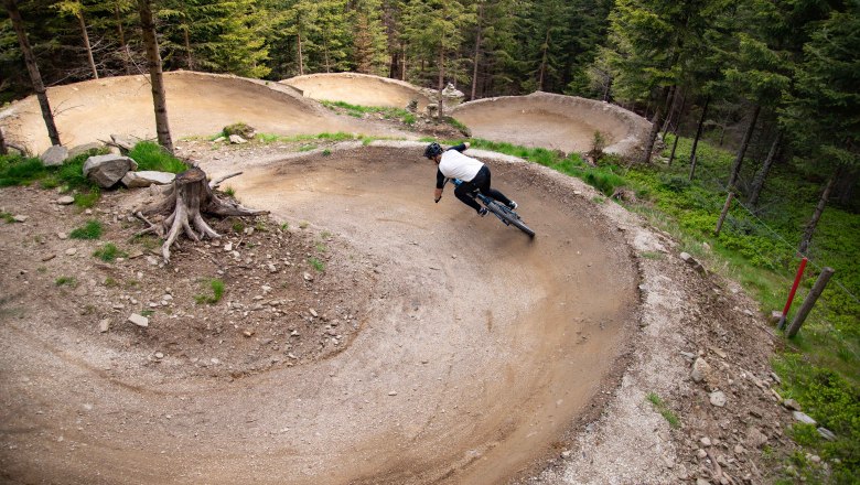Mountainbiker auf kurvigen Waldpfad.
