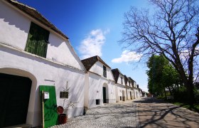 Kellergasse in Mailberg mit wei&szlig;en Geb&auml;uden und blauem Himmel.