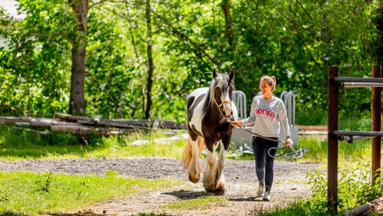 Eine Frau führt ein schwarz-weißes Pferd an einem Halfter durch einen sonnigen Waldweg.