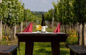 Genie&szlig;en im Weingarten, &copy; Heurigenhof Wildpert