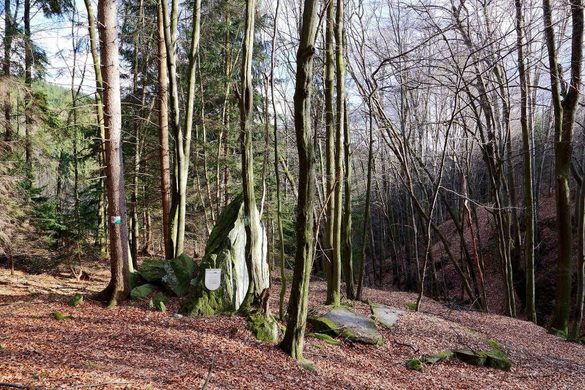 Der unter Naturschutz stehende Teufelsstein