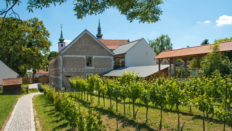 Weinberg und Gebäude in Poysdorf, sonniger Tag.