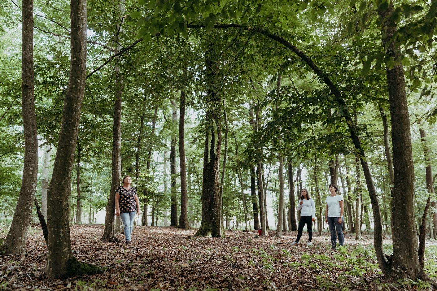 Drei Frauen beim Waldbaden im Weinviertel