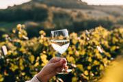 Frau hält ein Weinglas mit Wein mit hügeliger Landschaft im Hintergrund