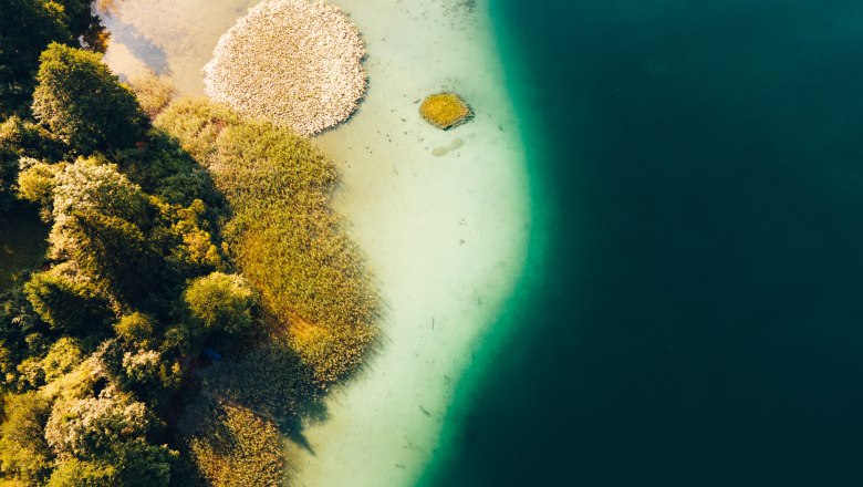Ein Naturschauspiel am Ufer des Lunzer Sees., &copy; Sabine Wieser