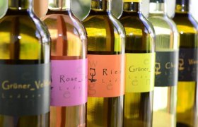 Weinbau Lederer, &copy; Josef Lederer