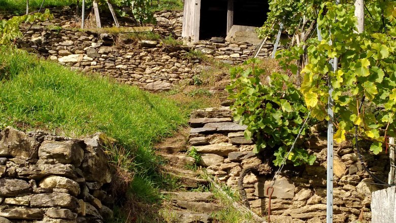 Unterwegs am Panoramaweg Spitzer Graben, &copy; Donau N&Ouml;: Heidi Schauer-Leberzipf