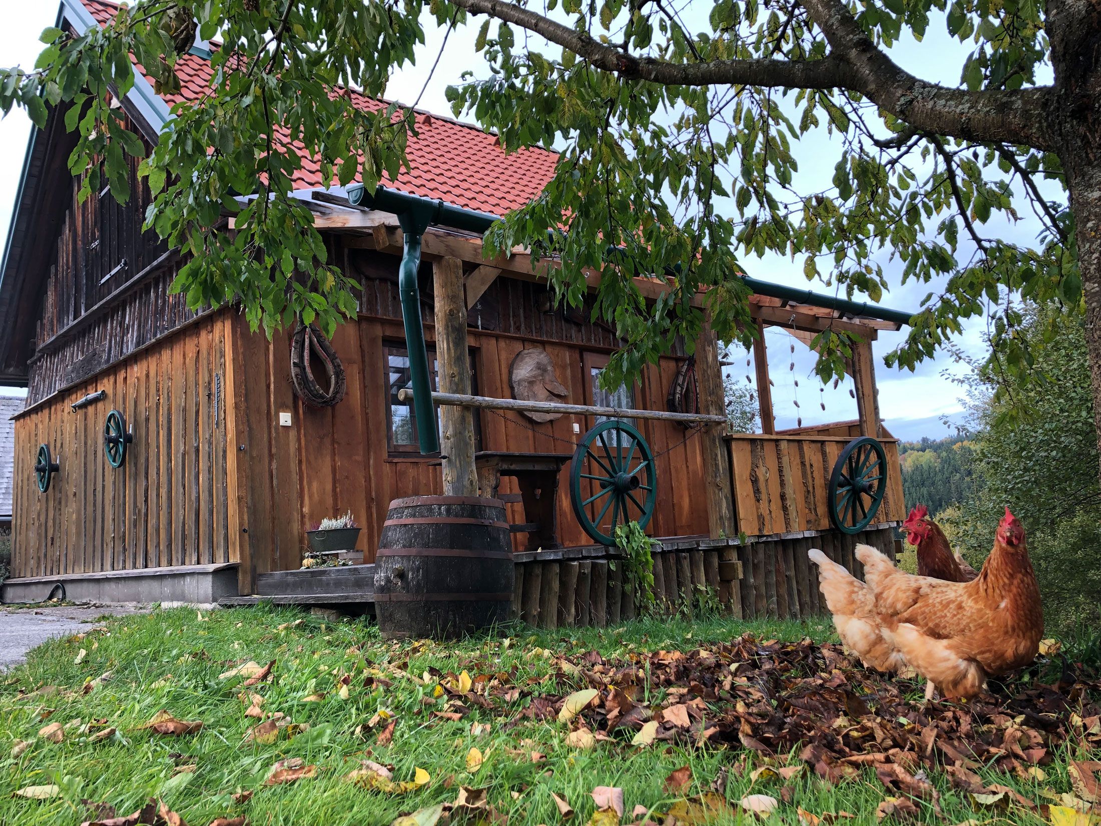 Ferienhaus Friedlhof