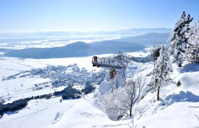 Skywalk Hohe Wand mit Weitblick, &copy; Wiener Alpen in Nieder&ouml;sterreich - Schneeberg Hohe Wand
