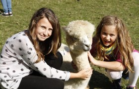 Die Alpakas sind soooo flauschig und sehr umg&auml;nglich!, &copy; Scherzer