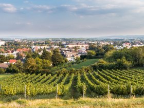 Wasserleitungsweg, © Baden Tourismus/Michael Dittrich