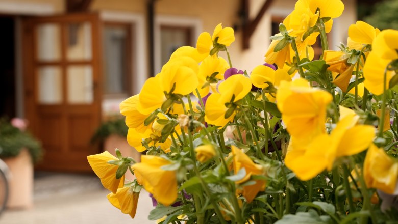 Weingut Hartl, &copy; Wienerwald Tourismus/Kerstin Semmelmeyer