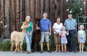 Sonnleiten Alpakas, &copy; Theo Kust