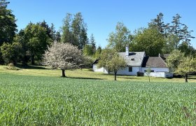 IMG_9531, © Katrin Karall-Semler