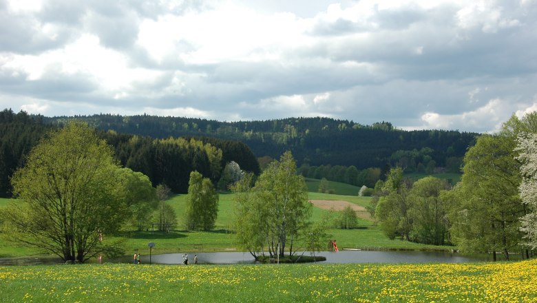 Naturbadeteich bei der Holzmühle, © Tourismusverein Moorbad Harbach