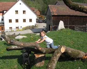 Kletterparadies f&uuml;r Kinder, &copy; Einkehrhof Poggau