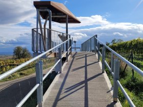 Eisenhut, &copy; Donau Nieder&ouml;sterreich - Kamptal-Wagram-Tullner Donauraum