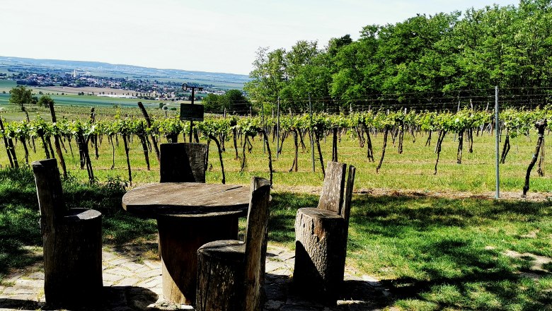 Holztisch und St&uuml;hle in einem Weinberg mit Blick auf die Landschaft.