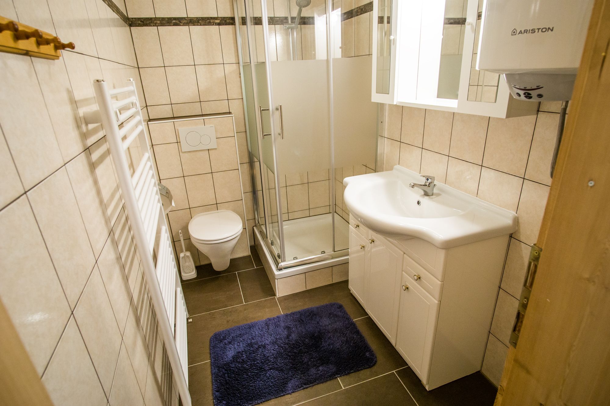 Badezimmer mit Dusche, Waschbecken, WC und Handtuchheizkörper.