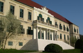 Schloss Loosdorf mit breiter Treppe und gr&uuml;nen Fensterl&auml;den.