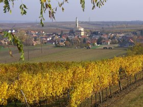 Sortenwanderweg Platt, &copy; Heidi Kraus