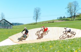 Bikepark K&ouml;nigsberg, &copy; Wolfgang Wutzl