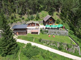 Luftaufnahme der Potschacherh&uuml;tte in einem Waldgebiet mit umliegenden B&auml;umen und einer Terrasse mit Sonnenschirmen.