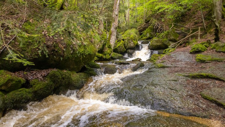 Klares Wasser der Ysper fließt über Steine im schattigen Abschnitt der Ysperklamm