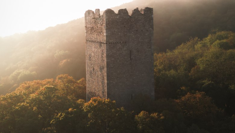 Turm einer Burg im Wald - Pottenburg
