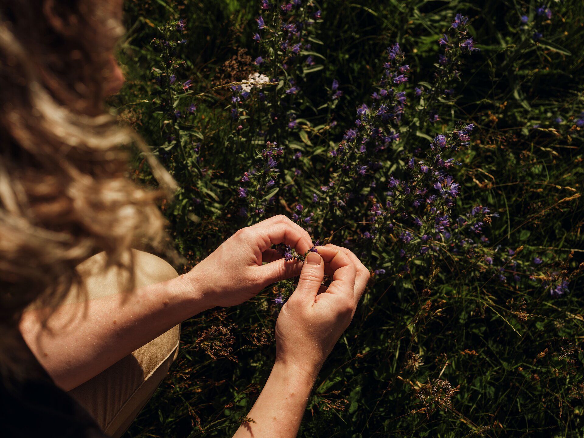 Inmitten der blühenden Wiesen des Mostviertels wird die Natur lebendig. Die sanften Farben der Wildblumen und das sanfte Licht des Sommertages laden dazu ein, die Schönheit der Umgebung zu genießen und die frische Luft einzuatmen. Hier, wo Kulinarik und Natur harmonisch verschmelzen, entsteht ein Gefühl von Freiheit und Entspannung.